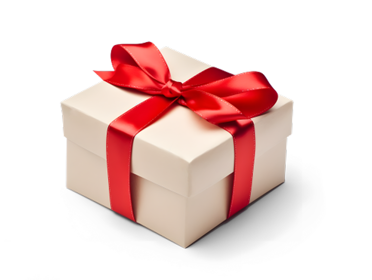 Premium gift box with red ribbon
